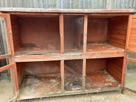 Photo of free Rabbit Hutch (Cowplain PO8) #2