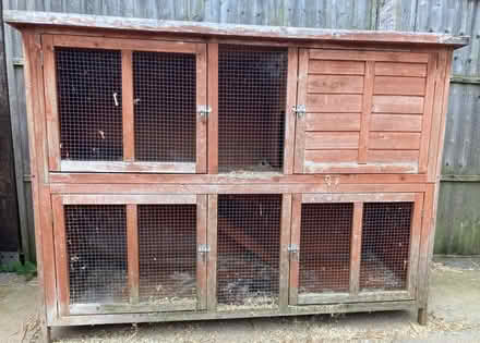 Photo of free Rabbit Hutch (Cowplain PO8) #1