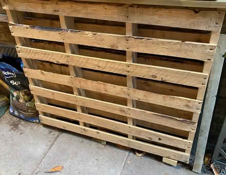 Photo of free Wooden pallet (Wimbledon SW19) #1