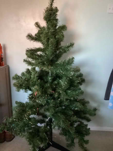 Photo of free Christmas tree (Terrington St John) #1