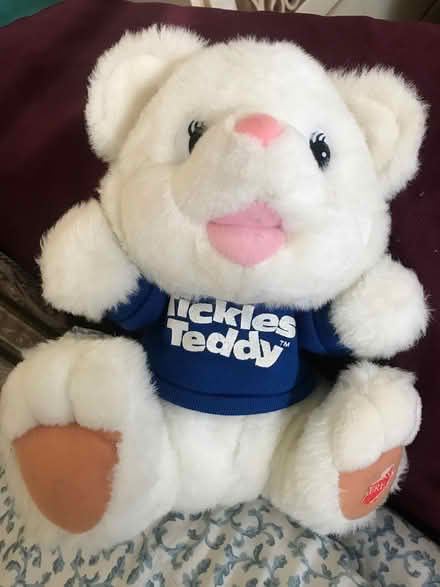 Photo of free Tickles Teddy bear toy (Highways 7 and 48)