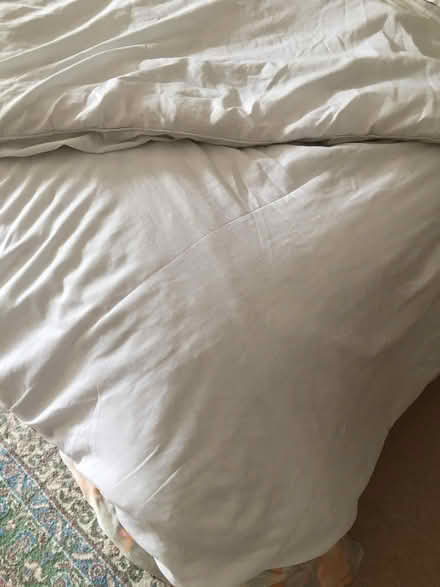 Photo of free 2 double duvets, (North Ascot SL5) #3