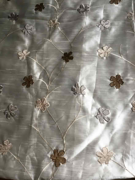 Photo of free Curtains (Hightown L38)