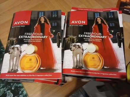 Photo of free C9 Avon brochures (Penrith CA11) #1