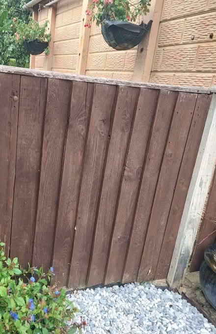 Photo of free Rustic Garden Gate (Hatfield Peverel CM3) #1