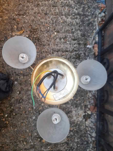 Photo of free Ceiling light (Springfield, MK6) #2