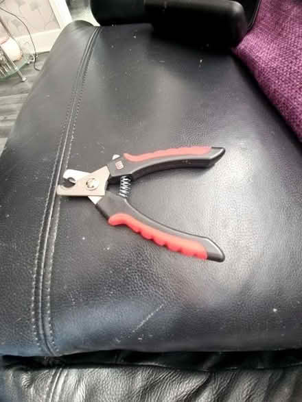 Photo of free Nail clipper (Farnham Royal SL2) #1