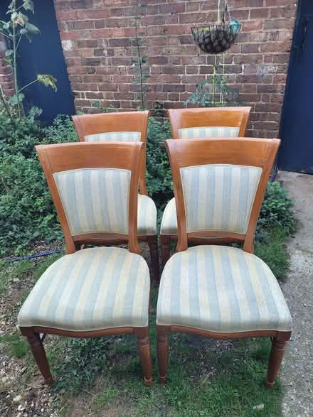 Photo of free Dining chairs (Sacombe SG12) #1