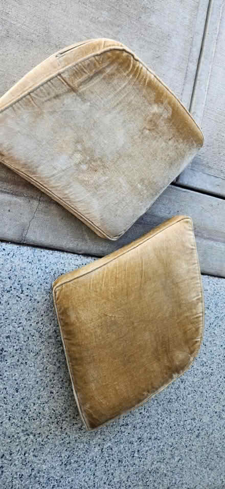 Photo of free Couch cushions (Union, KY)