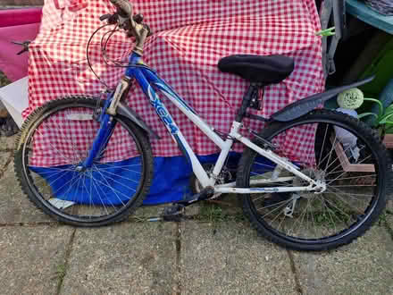 Photo of free Boys bike to keep or to take to dump (Weybridge KT13)