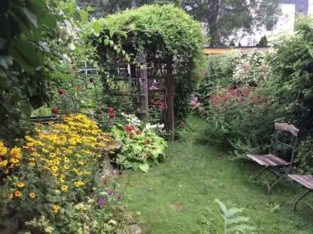 Photo of free Vintage garden chairs (Cedarvale - Toronto)