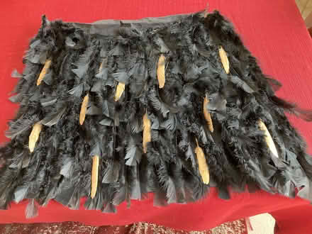 Photo of free Feather Cape for Halloween (Near Eubank Costco) #1