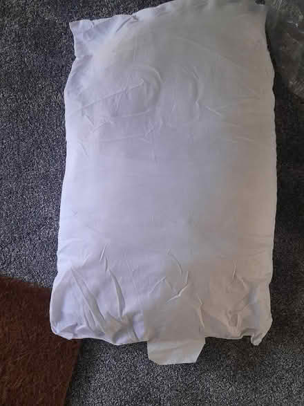 Photo of free Clean pillow (St Austell) #1