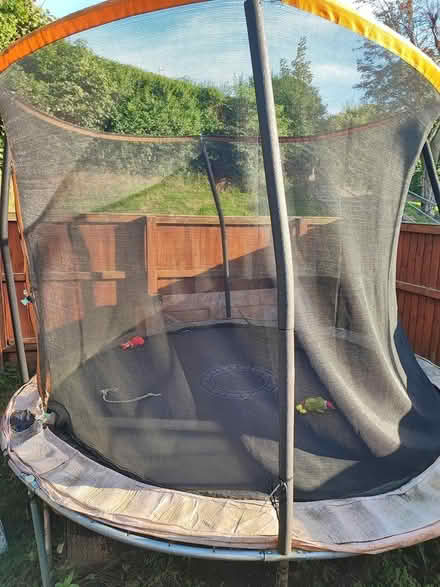 Photo of free Big trampoline (Leeds LS7) #1