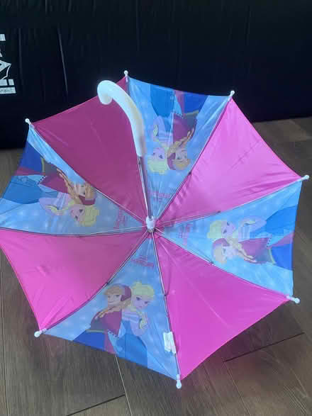 Photo of free Disney Frozen umbrella (Torrisholme LA4) #1