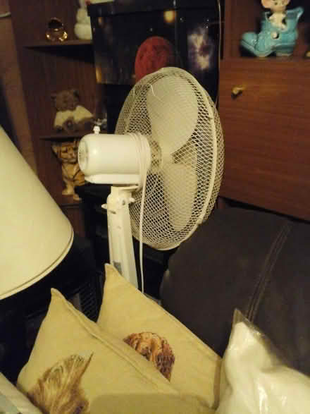Photo of free Table Top Electric Fan (Kirkton of Auchterhouse DD3) #1