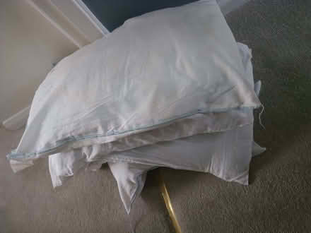 Photo of free 4 old pillows. Suitable for pet bed (Chalker's Corner TW9)