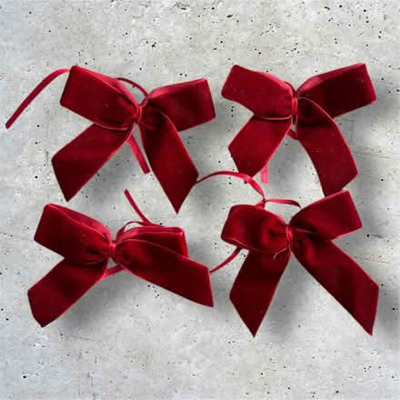 Photo of free Small Velvet Bows (Glebe Park LN2) #1