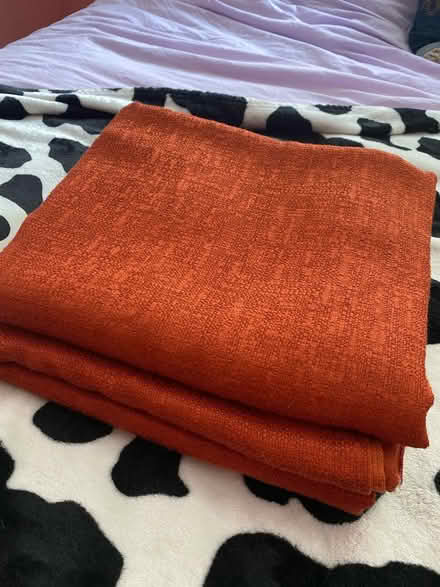 Photo of free Pair of Orange Curtains (castro valley)