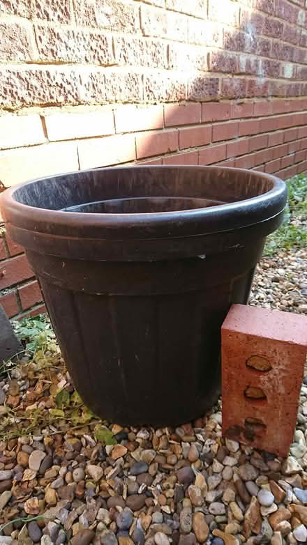 Photo of free Two Large Plastic Planters (Leighton buzzard LU7) #1