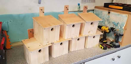 Photo of free Bird boxes (Kirkcaldy KY2) #2