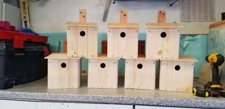 Photo of free Bird boxes (Kirkcaldy KY2) #3