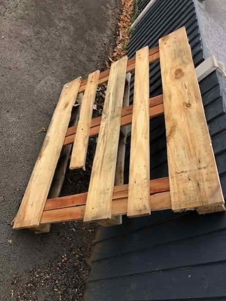 Photo of free Wooden pallet (Haslucks Green B90) #1