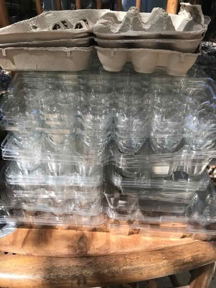 Photo of free re-upping: plastic egg cartons (Sun Valley) #1