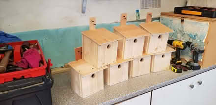 Photo of free Bird boxes (Kirkcaldy KY2) #1