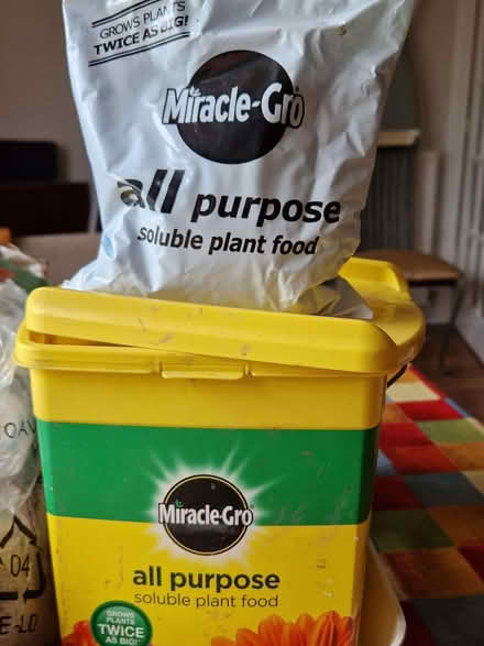 Photo of free Various garden plant foods (Dunfermline KY12) #3