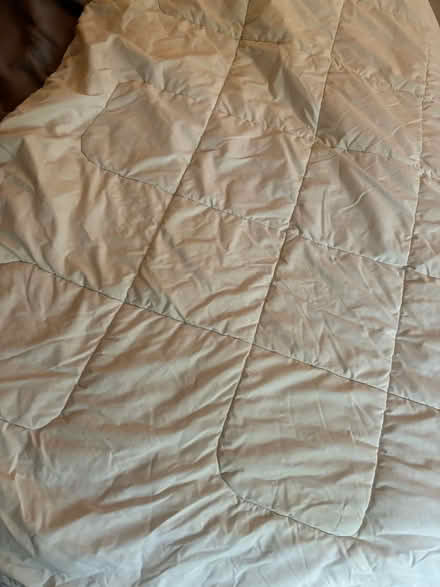 Photo of free Duvet queen/king (Hume Road- Puslinch)