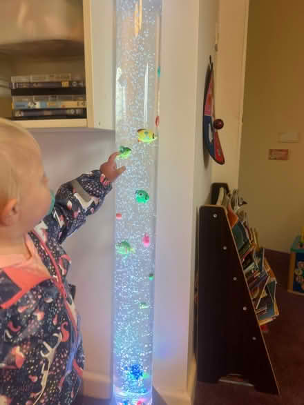 Photo of free Sensory bubble fish light (PR5 lostock hall)