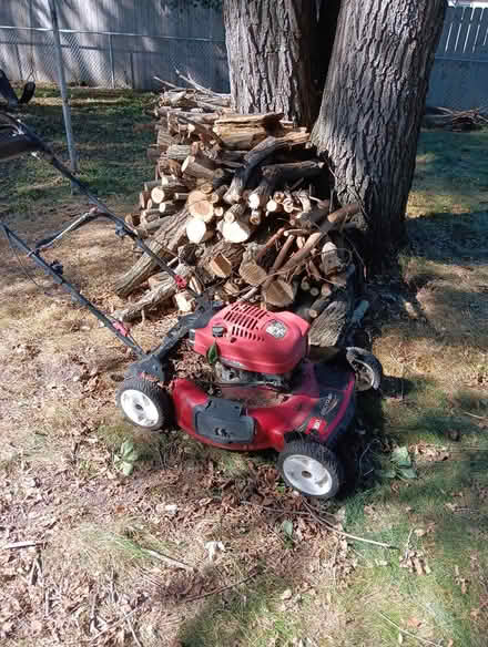 Photo of free Mower (Curb @ 8224 Russell Ave S) #1