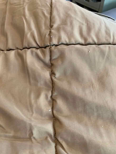 Photo of free Brown and Cream Comforter (48103 near Dicken school) #2