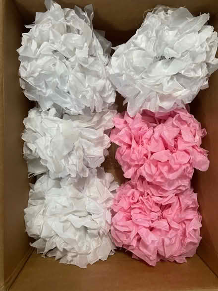 Photo of free Tissue paper pom poms (Neelsville) #1