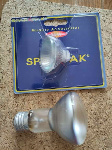 Photo of free 2 bulbs, spotlight & 2pin Sparkpak 20w (Henleaze Ward BS9) #3