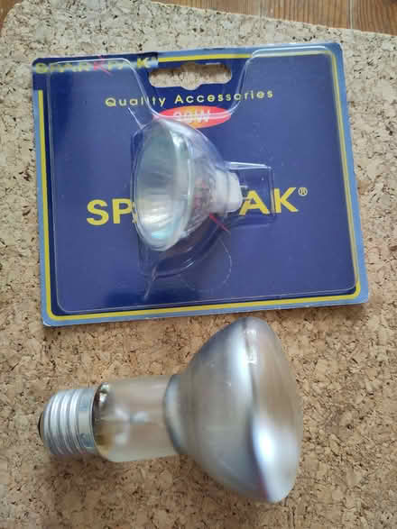 Photo of free 2 bulbs, spotlight & 2pin Sparkpak 20w (Henleaze Ward BS9) #2