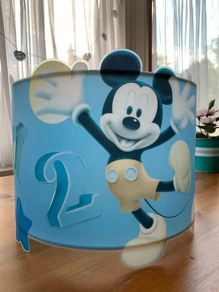 Photo of free Lampshade Child Bedroom (Newington EH9) #1