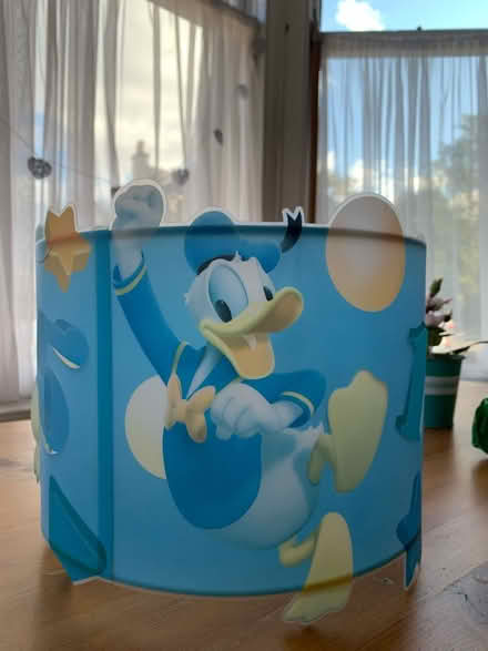 Photo of free Lampshade Child Bedroom (Newington EH9) #2