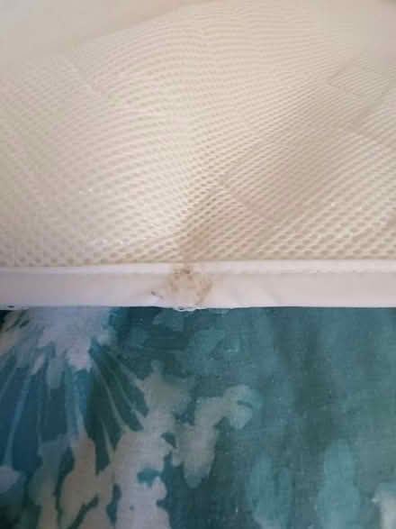 Photo of free Folding Travel Cot Mattress (Wootton) #2