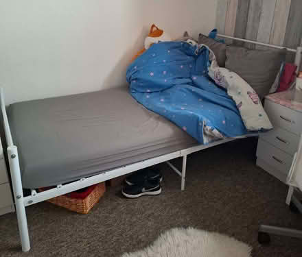 Photo of free Single bed (Cleehill SY8) #2