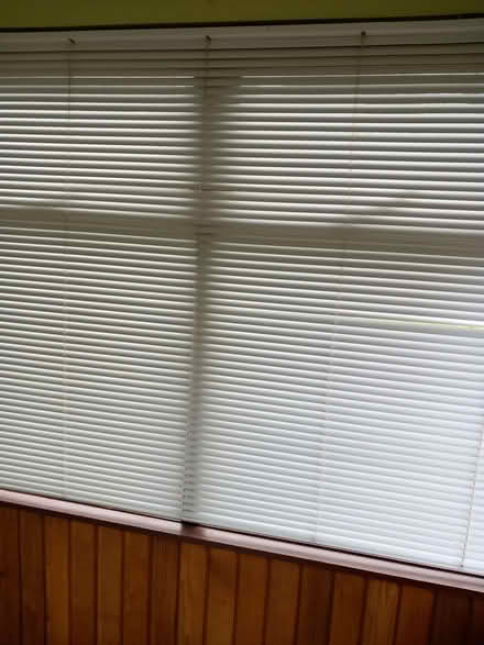 Photo of free Venetian blinds (Bevendean BN2) #3