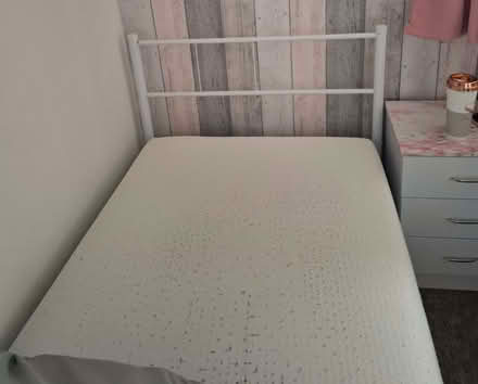 Photo of free Single bed (Cleehill SY8) #1