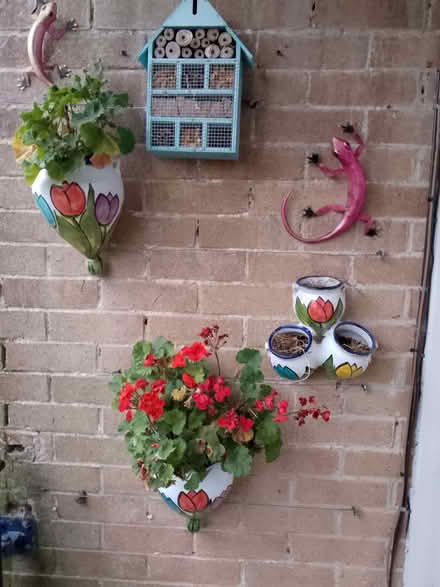 Photo of free Ceramic wall pots (Havant PO9) #1