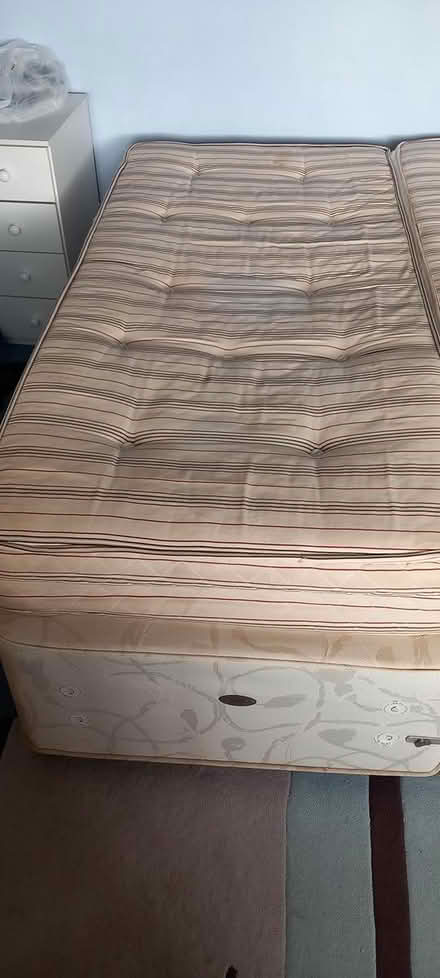 Photo of free zip link mattresses (Builth Wells) #3