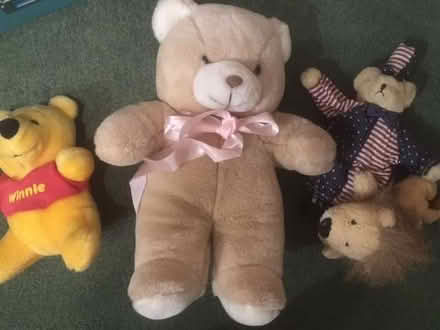 Photo of free 4 soft toys (Queens Park CM12) #1