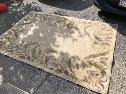 Photo of free Woven area rug (Queensborough, New Westminster) #1