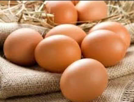 Photo of Eggs (South Ockendon RM15) #1