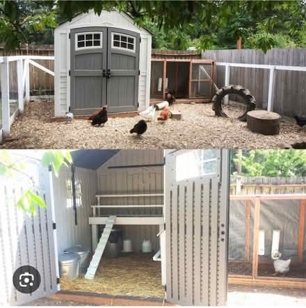 Photo of Plastic shed/ chicken coop (Harefield UB9) #1