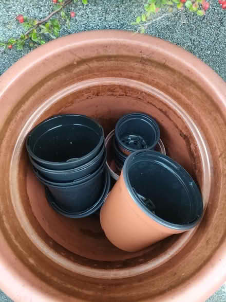 Photo of free Plant pots (G62, Milngavie) #2